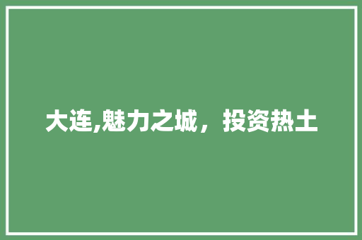 大连,魅力之城，投资热土 神马SEO