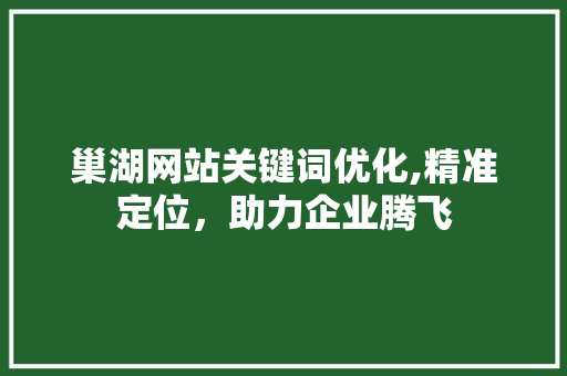 巢湖网站关键词优化,精准定位，助力企业腾飞 未命名