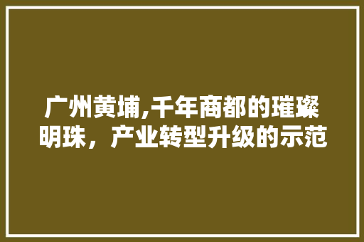 广州黄埔,千年商都的璀璨明珠，产业转型升级的示范窗口 未命名