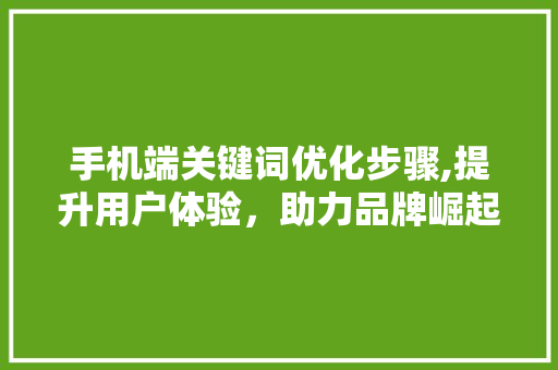 手机端关键词优化步骤,提升用户体验，助力品牌崛起 百度SEO