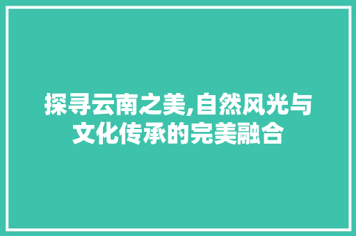 探寻云南之美,自然风光与文化传承的完美融合 未命名