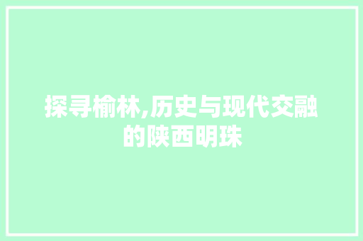 探寻榆林,历史与现代交融的陕西明珠 未命名