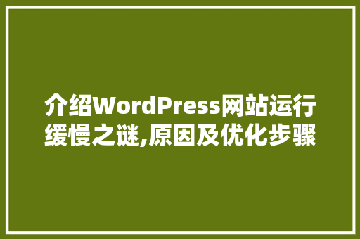 介绍WordPress网站运行缓慢之谜,原因及优化步骤