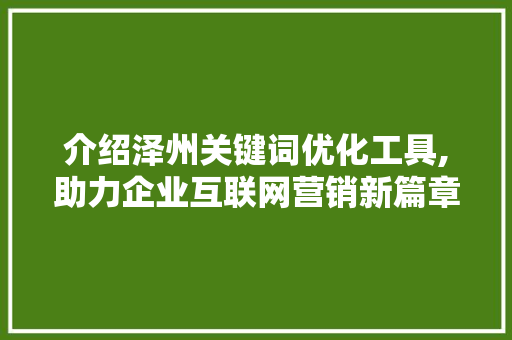 介绍泽州关键词优化工具,助力企业互联网营销新篇章 百度SEO