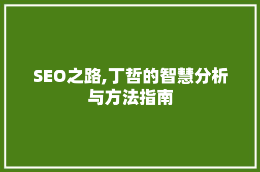 SEO之路,丁哲的智慧分析与方法指南