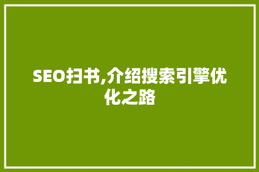 SEO扫书,介绍搜索引擎优化之路