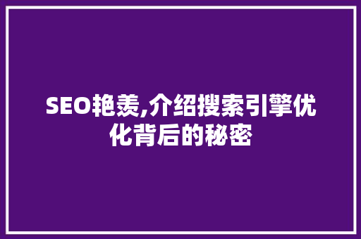 SEO艳羡,介绍搜索引擎优化背后的秘密