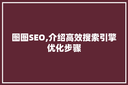 图图SEO,介绍高效搜索引擎优化步骤 百度SEO