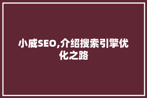 小威SEO,介绍搜索引擎优化之路