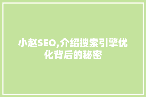 小赵SEO,介绍搜索引擎优化背后的秘密