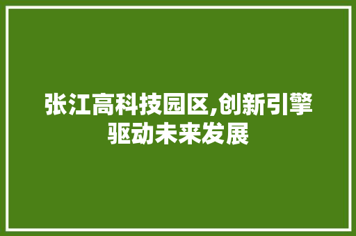 张江高科技园区,创新引擎驱动未来发展
