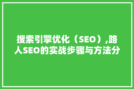 搜索引擎优化（SEO）,路人SEO的实战步骤与方法分析