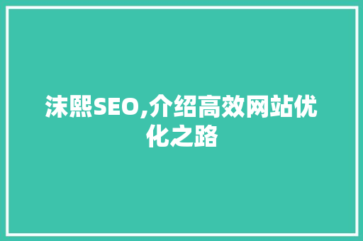 沫熙SEO,介绍高效网站优化之路 神马SEO