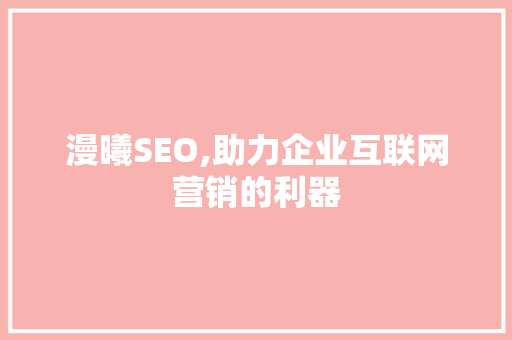 漫曦SEO,助力企业互联网营销的利器