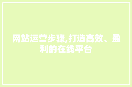 网站运营步骤,打造高效、盈利的在线平台