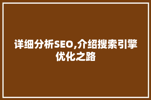 详细分析SEO,介绍搜索引擎优化之路