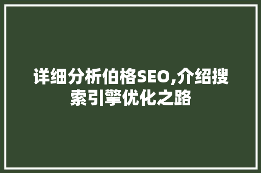 详细分析伯格SEO,介绍搜索引擎优化之路