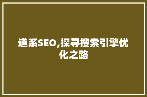 道系SEO,探寻搜索引擎优化之路