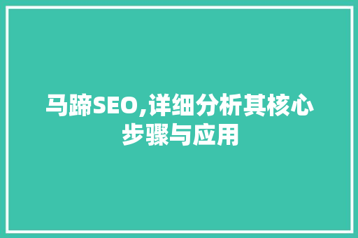 马蹄SEO,详细分析其核心步骤与应用