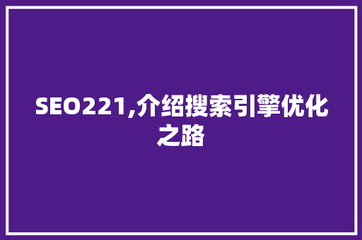 SEO221,介绍搜索引擎优化之路