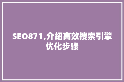 SEO871,介绍高效搜索引擎优化步骤 百度SEO