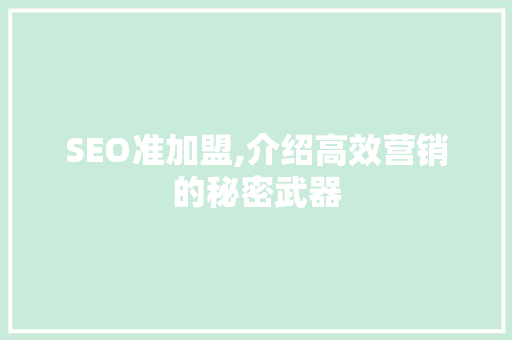 SEO准加盟,介绍高效营销的秘密武器