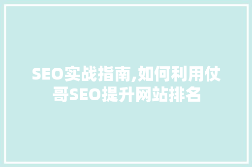 SEO实战指南,如何利用仗哥SEO提升网站排名