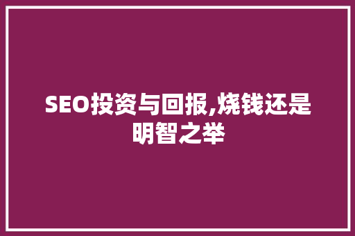 SEO投资与回报,烧钱还是明智之举 神马SEO