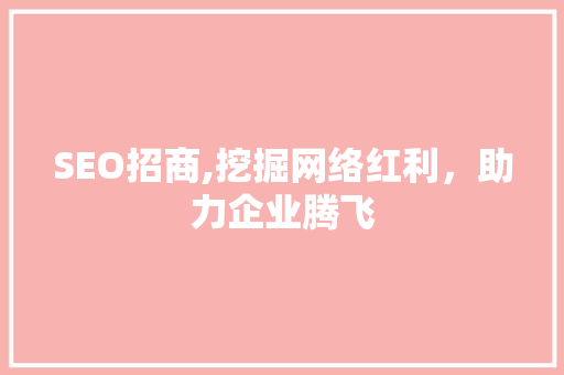 SEO招商,挖掘网络红利，助力企业腾飞