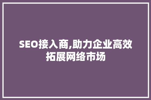SEO接入商,助力企业高效拓展网络市场