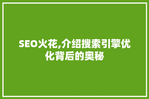 SEO火花,介绍搜索引擎优化背后的奥秘