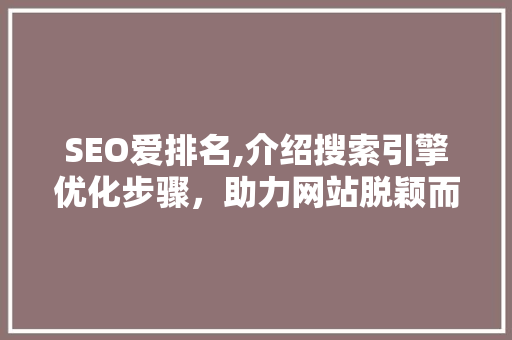 SEO爱排名,介绍搜索引擎优化步骤，助力网站脱颖而出