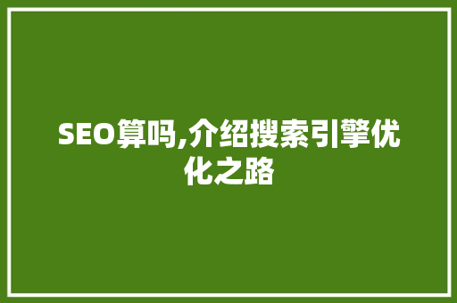 SEO算吗,介绍搜索引擎优化之路