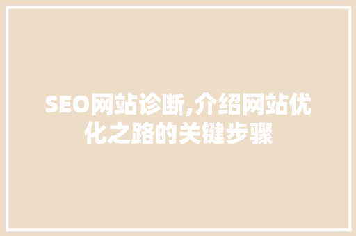 SEO网站诊断,介绍网站优化之路的关键步骤 神马SEO