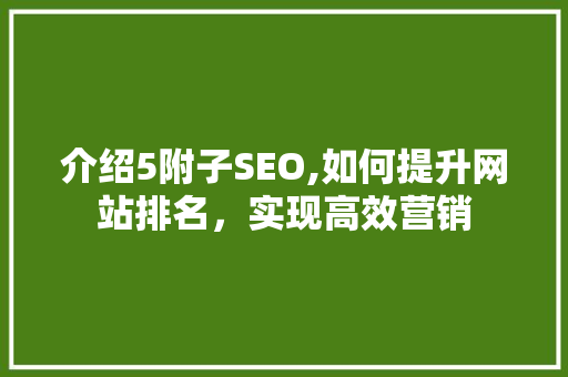 介绍5附子SEO,如何提升网站排名，实现高效营销 神马SEO