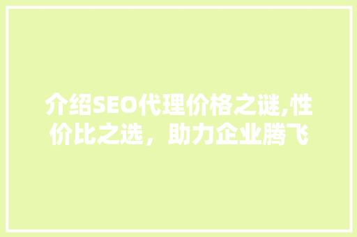 介绍SEO代理价格之谜,性价比之选，助力企业腾飞
