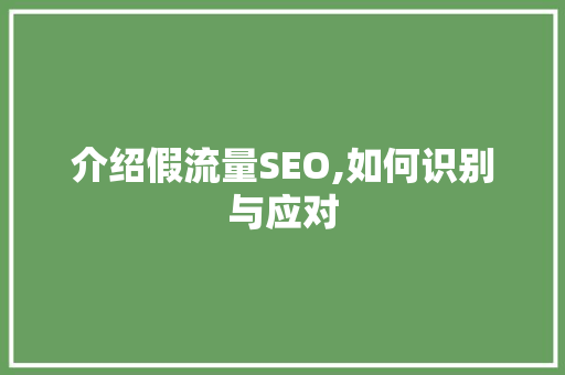 介绍假流量SEO,如何识别与应对 GoogleSEO