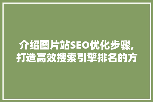 介绍图片站SEO优化步骤,打造高效搜索引擎排名的方法