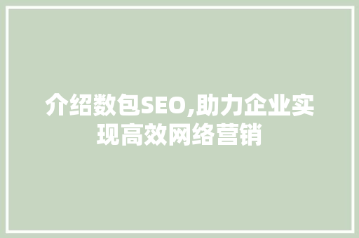 介绍数包SEO,助力企业实现高效网络营销