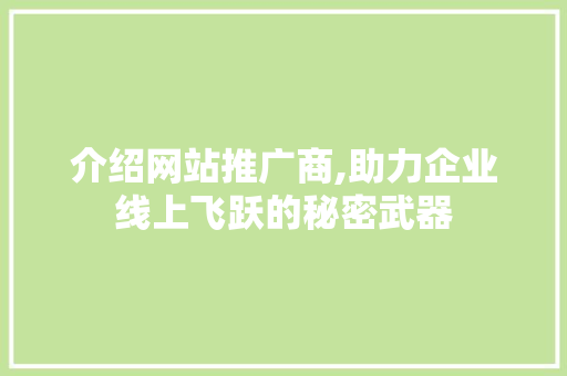介绍网站推广商,助力企业线上飞跃的秘密武器