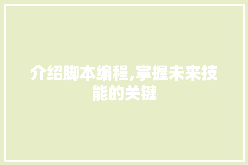 介绍脚本编程,掌握未来技能的关键 神马SEO