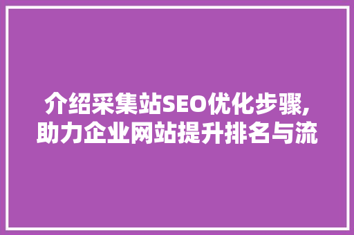 介绍采集站SEO优化步骤,助力企业网站提升排名与流量