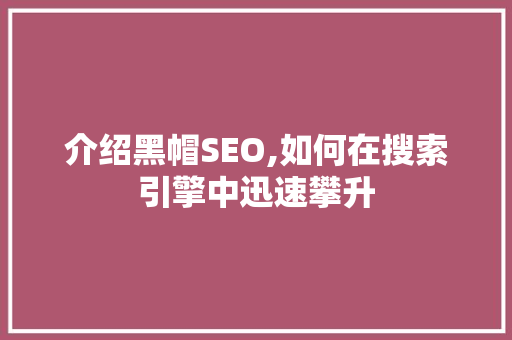 介绍黑帽SEO,如何在搜索引擎中迅速攀升 百度SEO