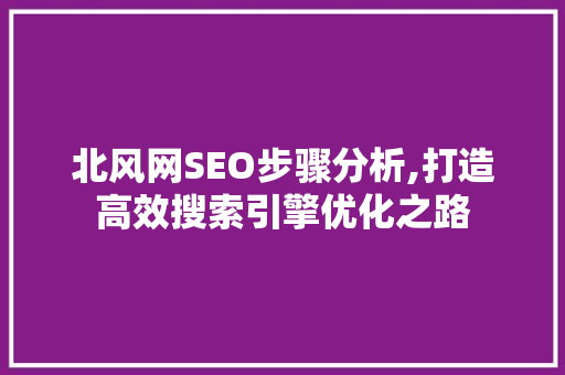 北风网SEO步骤分析,打造高效搜索引擎优化之路