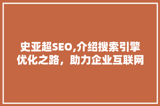 史亚超SEO,介绍搜索引擎优化之路，助力企业互联网营销