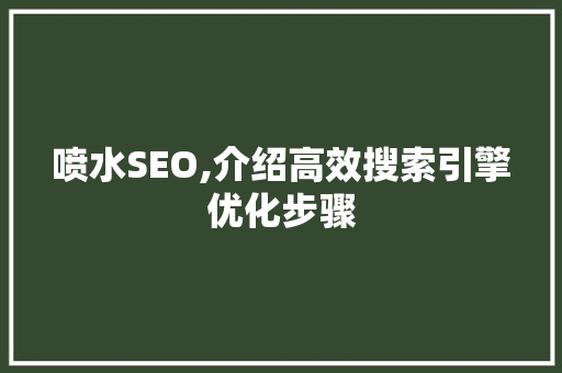 喷水SEO,介绍高效搜索引擎优化步骤 百度SEO