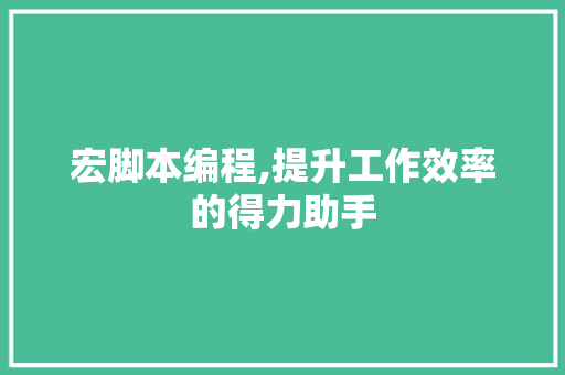 宏脚本编程,提升工作效率的得力助手 GoogleSEO