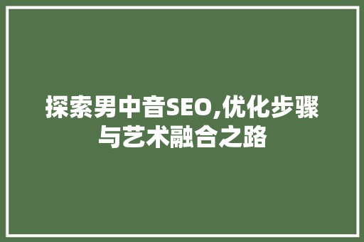 探索男中音SEO,优化步骤与艺术融合之路 百度SEO