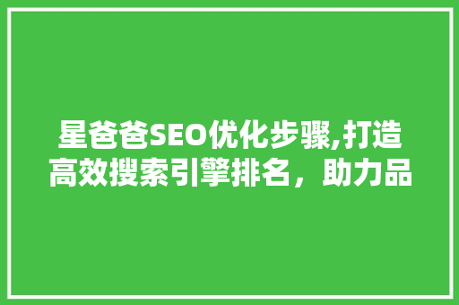 星爸爸SEO优化步骤,打造高效搜索引擎排名，助力品牌腾飞 必应SEO