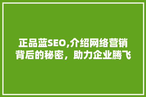 正品蓝SEO,介绍网络营销背后的秘密，助力企业腾飞 百度SEO